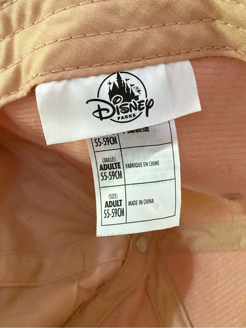 Disney parks rose